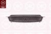 KLOKKERHOLM 2534991 Radiator Grille
